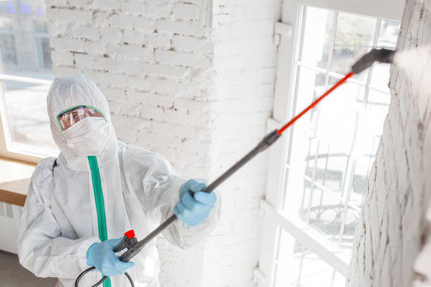 Best Indoor Air Quality Assessment  in Christmas, FL