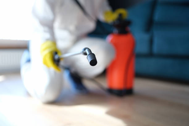 Best Dehumidification Services  in Christmas, FL