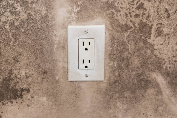 Mold Odor Removal Services in Christmas, FL